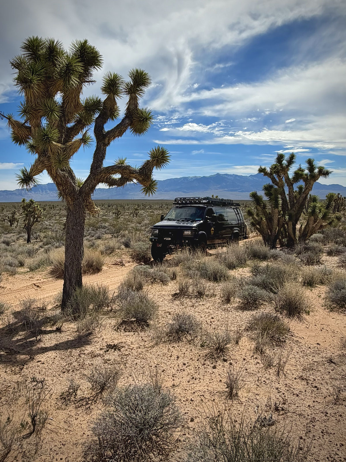 Mesquite Mesa Tours expedition vehicle in a Joshua tree forest above Mesquite, Nevada